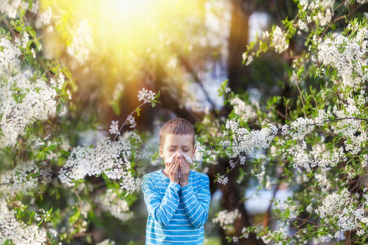 Allergic Diseases Potentially Increase Risk of Select Mental Health Conditions