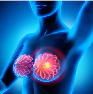 Image Credit: Adobe Stock - peterschreiber.media