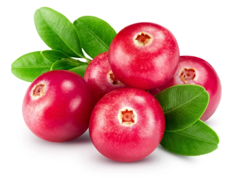 Image Credit: Adobe Stock - Maks Narodenko