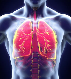 Extremely Virulent Strain of Klebsiella pneumoniae Reaches United States