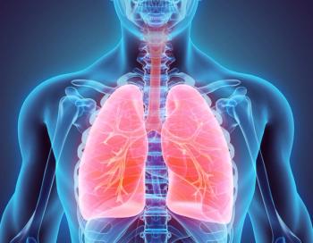 3D illustration of Lungs, medical concept. | Image Credit: yodiyim - stock.adobe.com