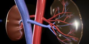 Diabetes-Related Kidney Failure in Native Americans Declined at Fastest Rate