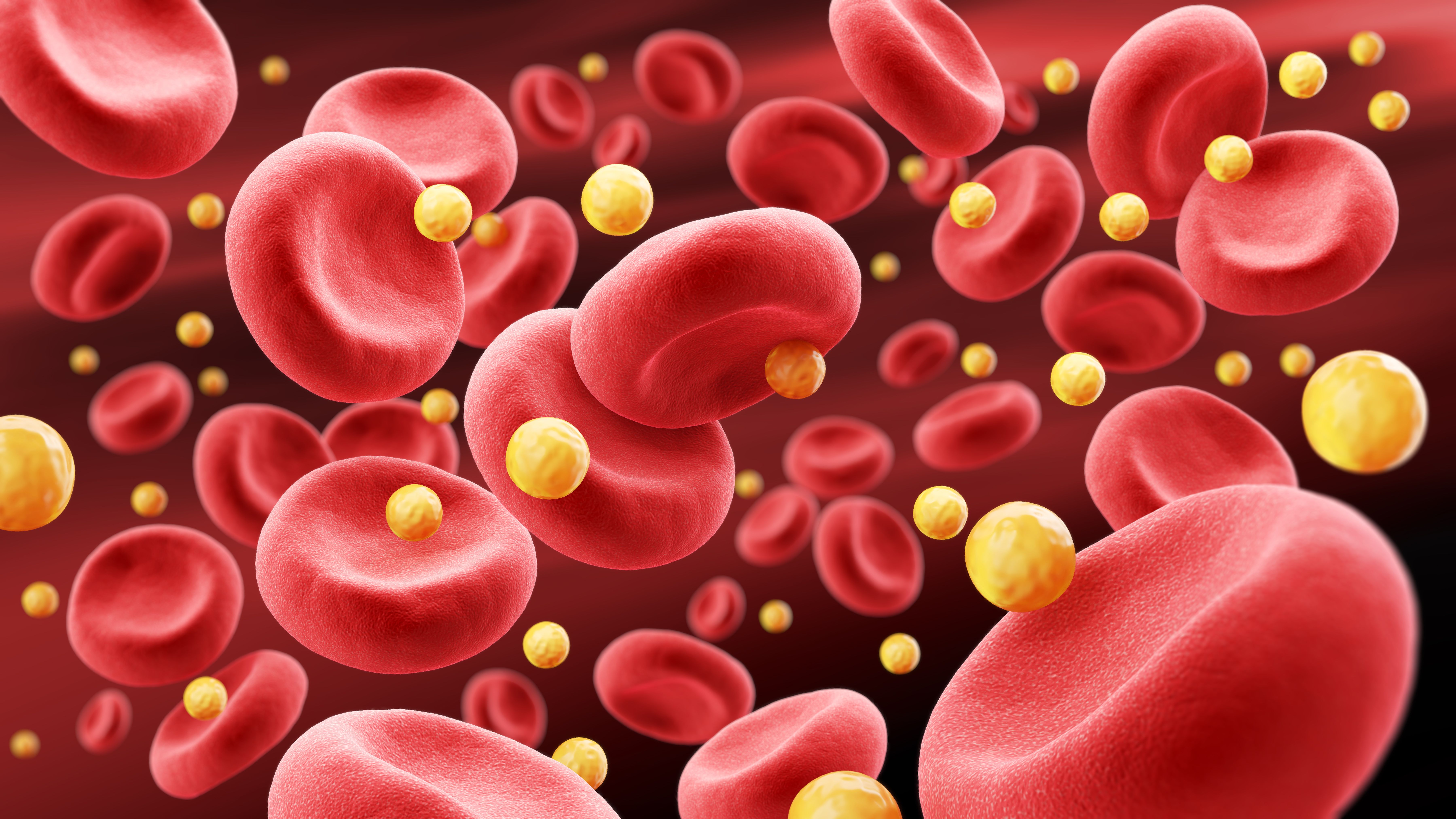 blood cell with cholesterol, 3d illustration - Image credit: Anusorn | stock.adobe.com