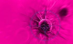 Examining Treatment Strategies in in Platinum-Sensitive Ovarian Cancer