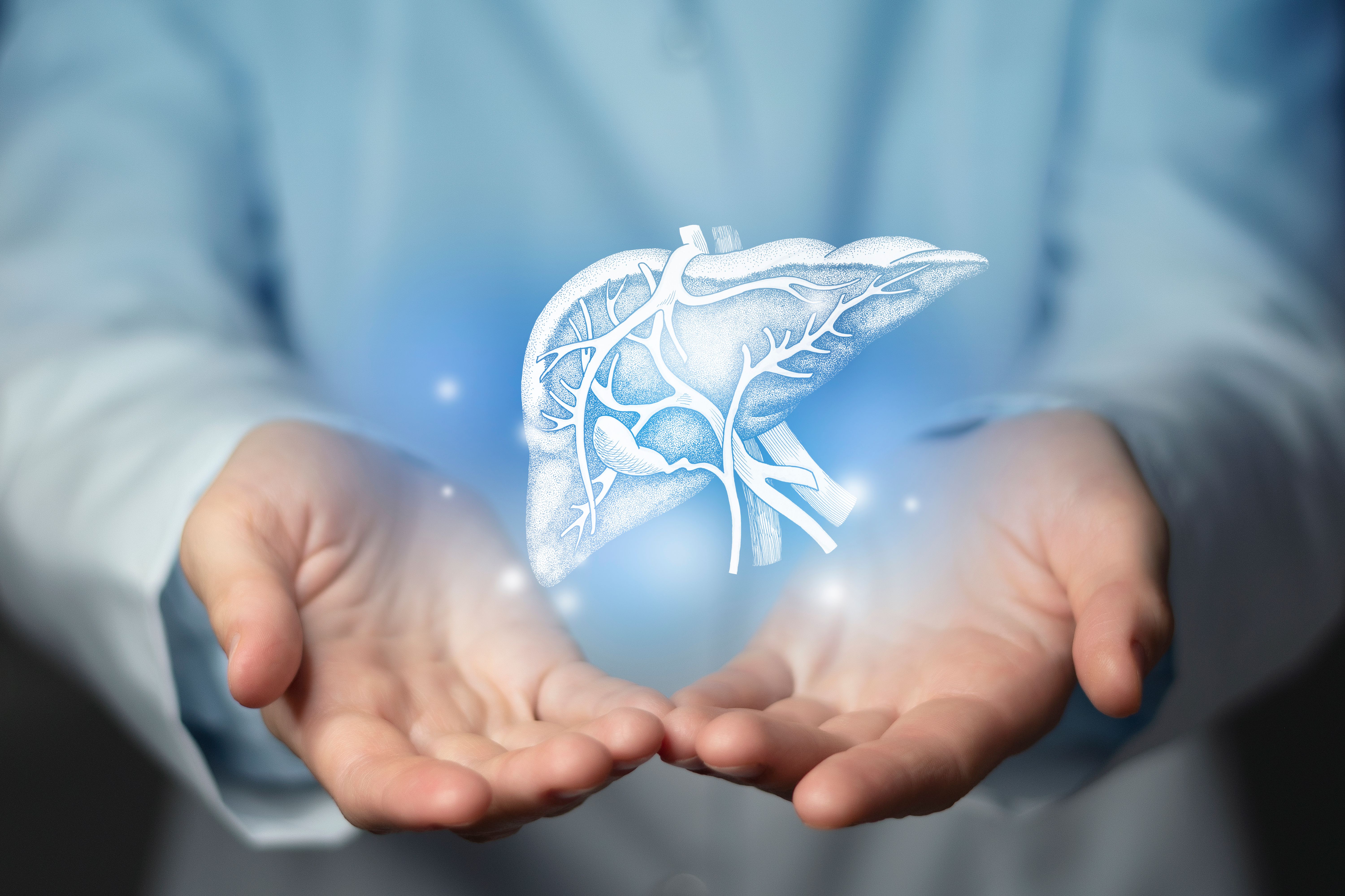 Health care professional holding a hepatitis liver. -- Image credit: mi_viri | stock.adobe.com