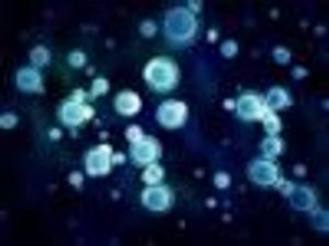 Pharmacists Can Provide Education on Management, Prevention Strategies for Chronic Graft-vs-Host Disease