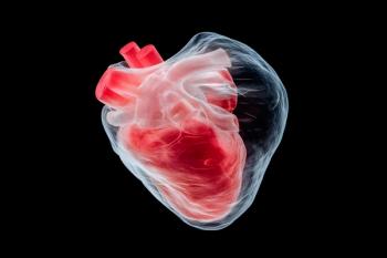 Anatomical Heart X-ray, medical, healthcare, anatomy, organ, vascular