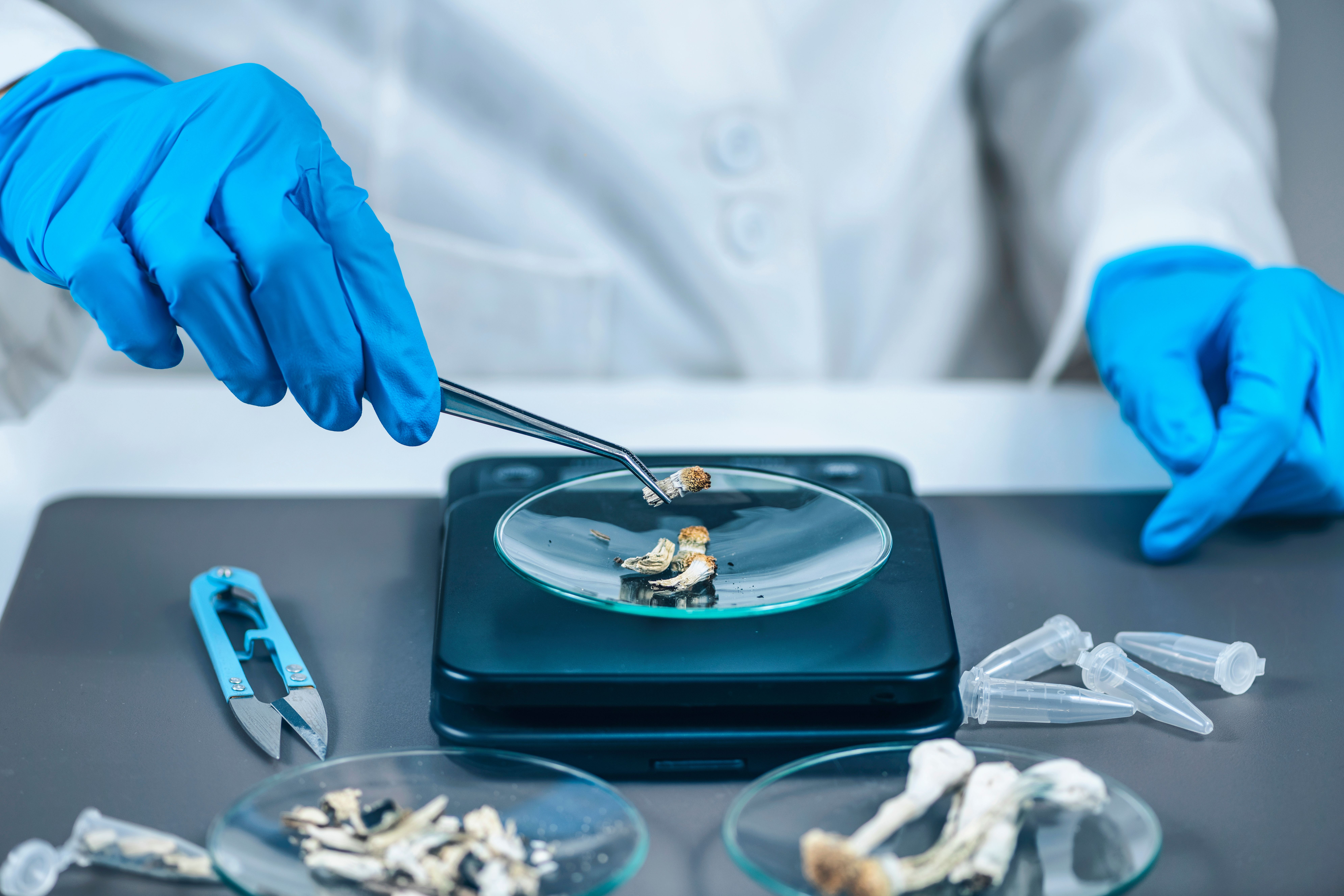Investigating the Pharmacist’s Role in Psychedelic-Assisted Psychotherapy for Patients With Cancer