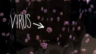 Flu Attack! How a Virus Invades Your Body