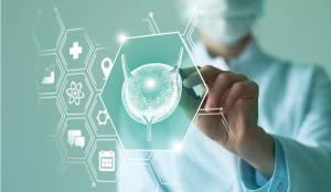 Doctor pointing to holographic model of a bladder | Image Credit: © mi_viri - stock.adobe.com