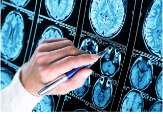 BillionPhotos.com - stock.adobe.com