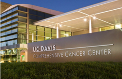 Cancer Center Appoints New Associate Director for Office of Community Outreach and Engagement