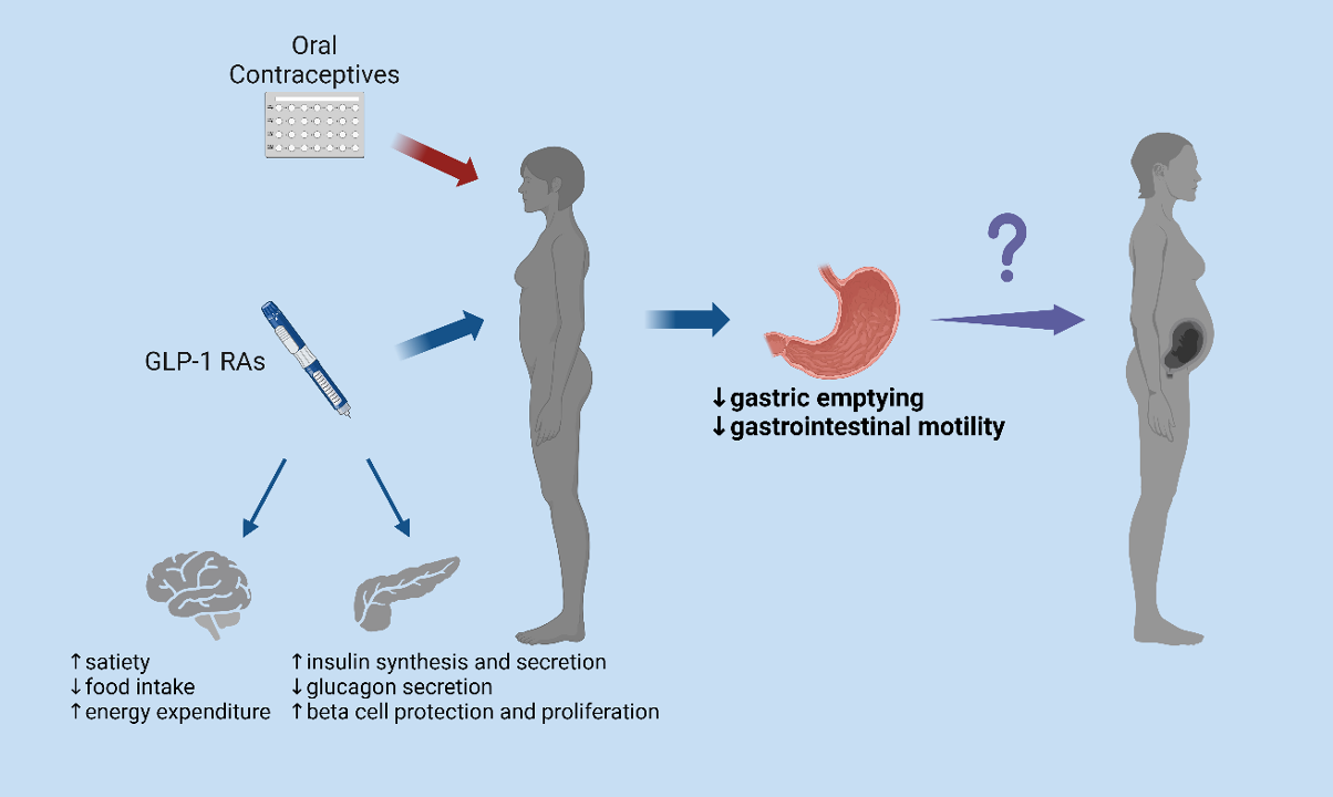 So-Called “Ozempic Babies” Raise Questions About Unintended Effects of GLP-1  Agonists