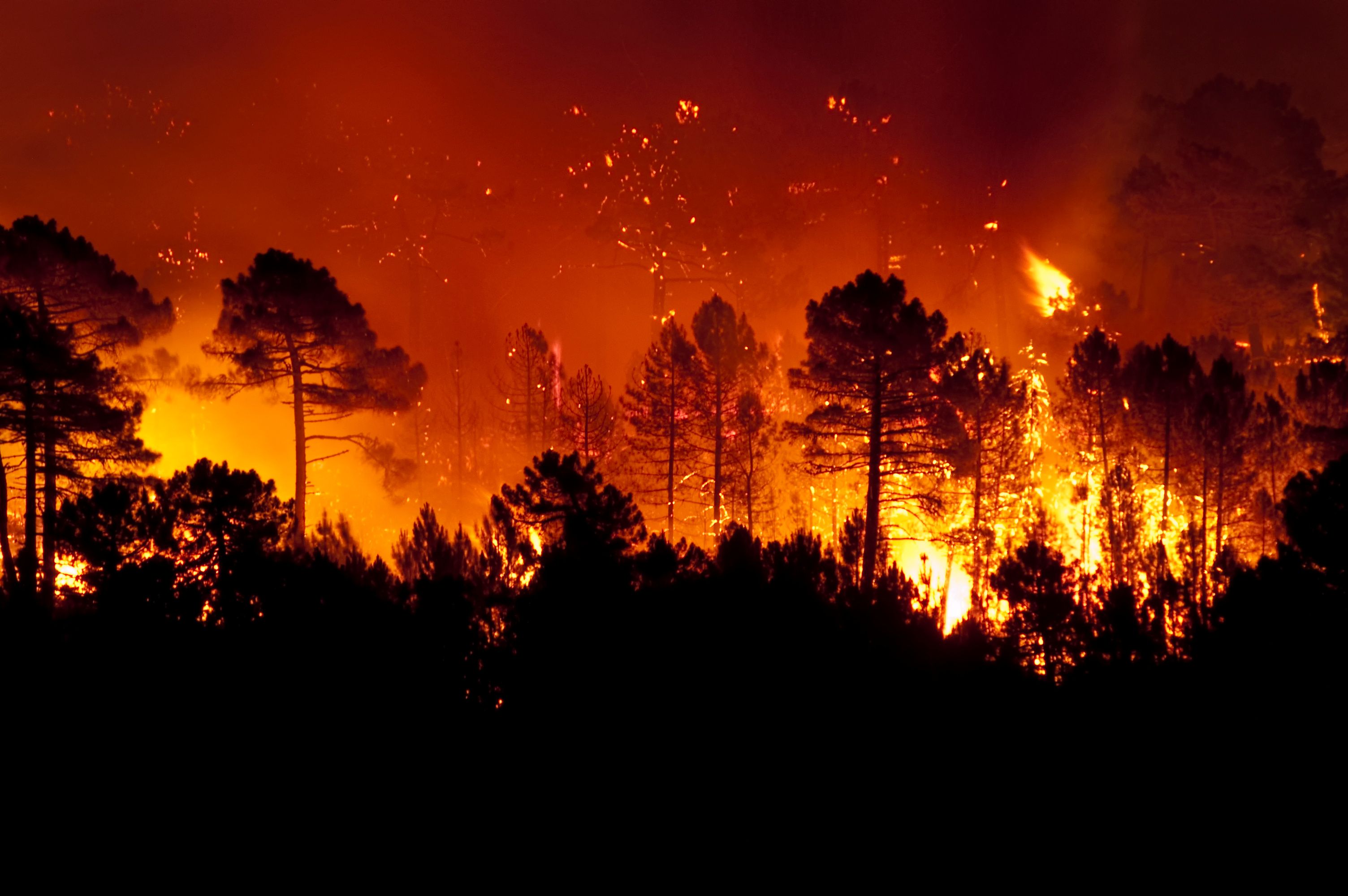 Wildfire, Pharmacy, Preparedness | Image Credit: JAH | stock.adobe.com