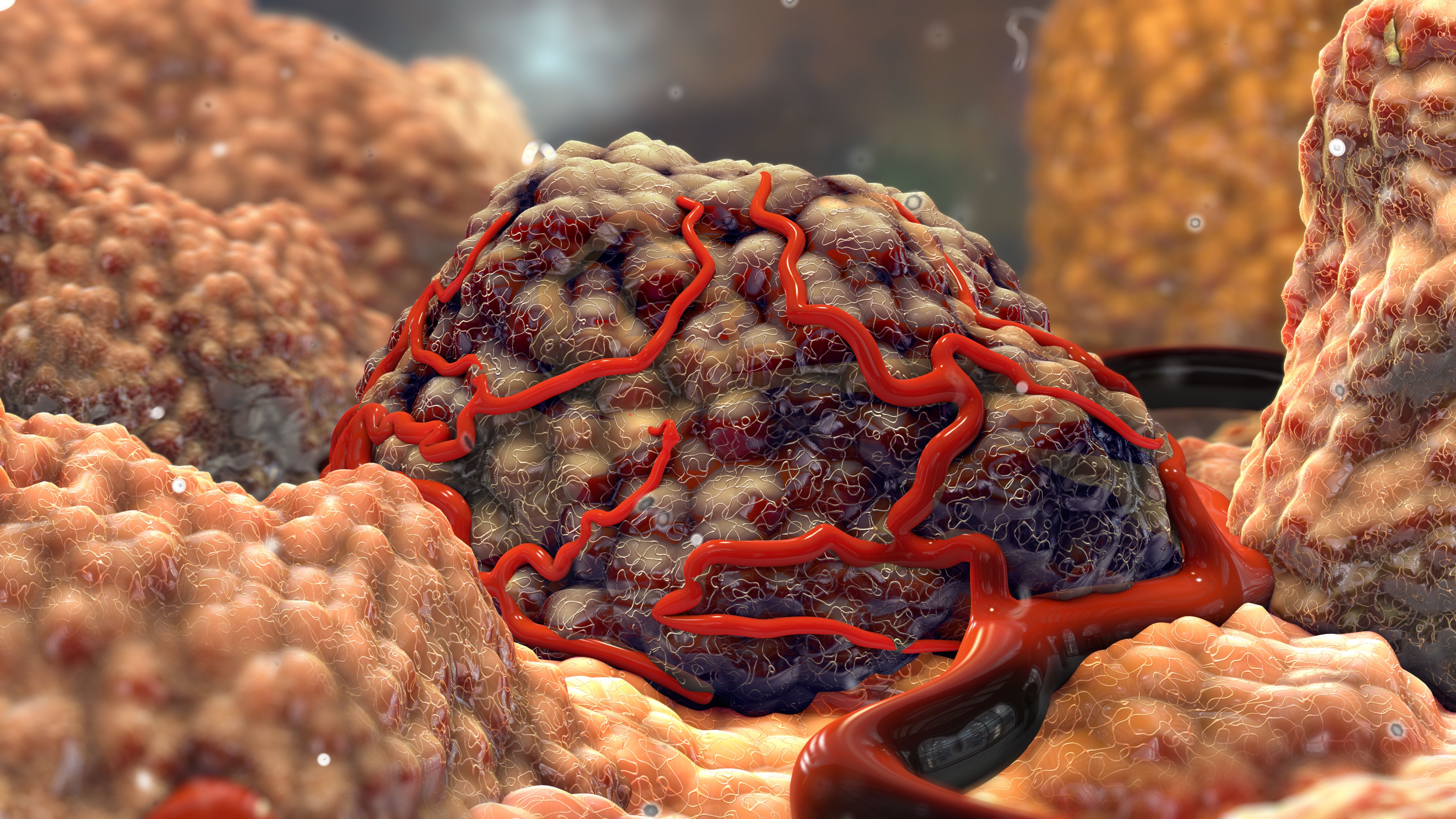 FDA Grants Priority Review to Repotrectinib for the Treatment of NTRK-Positive Solid Tumors