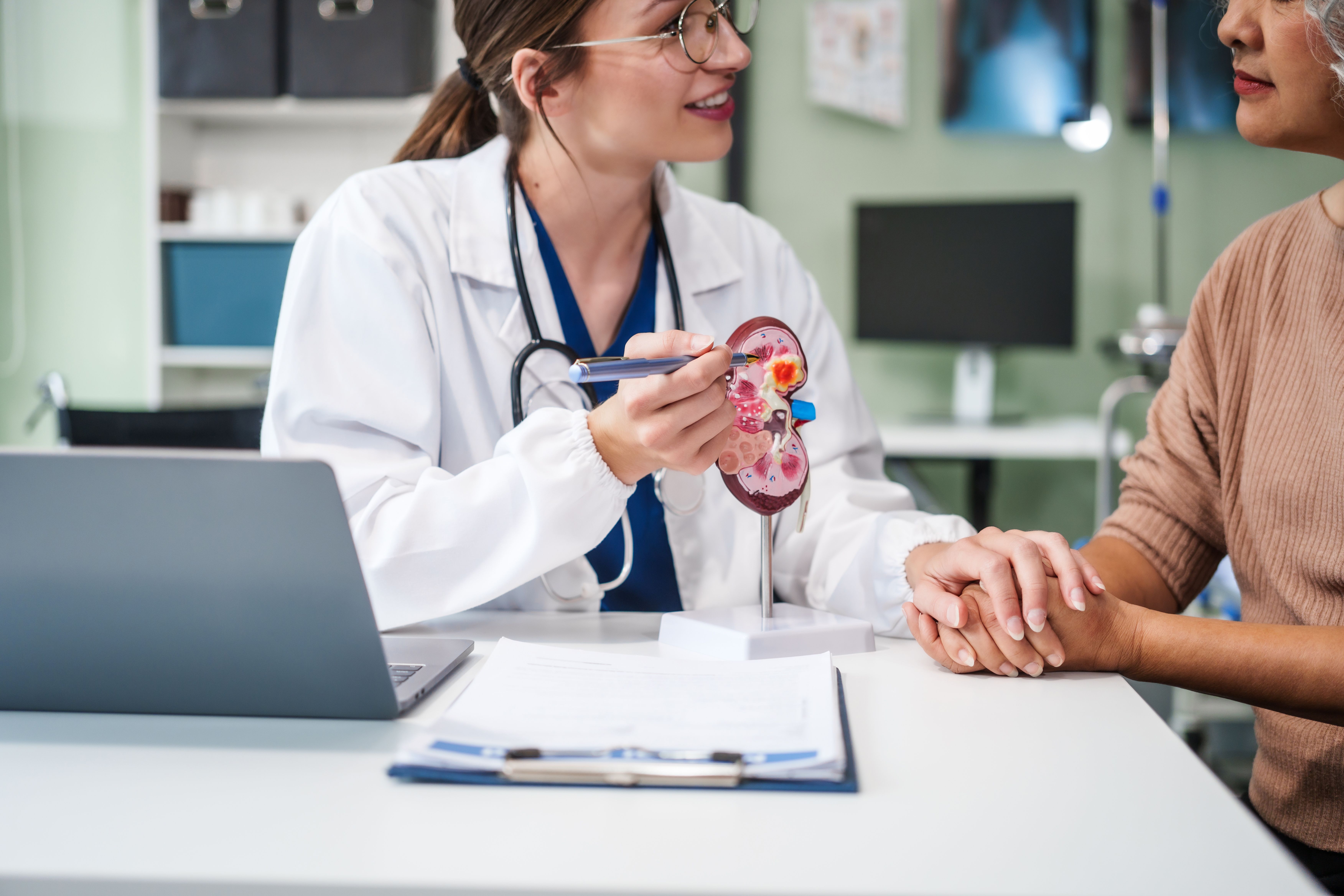 Caucasian woman and elderly Asian woman discuss kidney model issues like gallstones, glomerulonephritis, acute/chronic kidney disease, infections, abnormal ureters, cysts, urinary system ..
