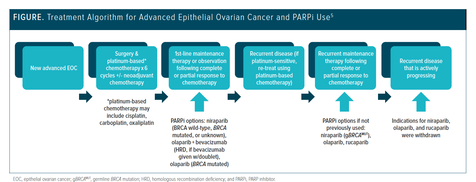 Clinical Insights Into Advancements in Epithelial Ovarian Cancer Treatment