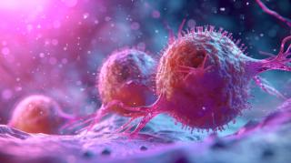 lymphoma, OPC, ASCO 2024, hodgkin lymphoma