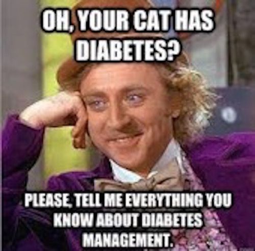 8 Diabetes Memes Guaranteed to Make You Laugh | Pharmacy Times