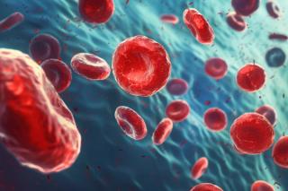 3D rendering of multiple myeloma cancer cells | Image Credit: © Сергей Косилко - stock.adobe.com