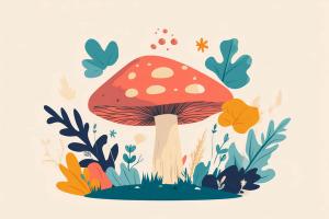 Psilocybin at the Crossroads: Regulatory Barriers and the Pharmacist’s Role in Palliative Innovation