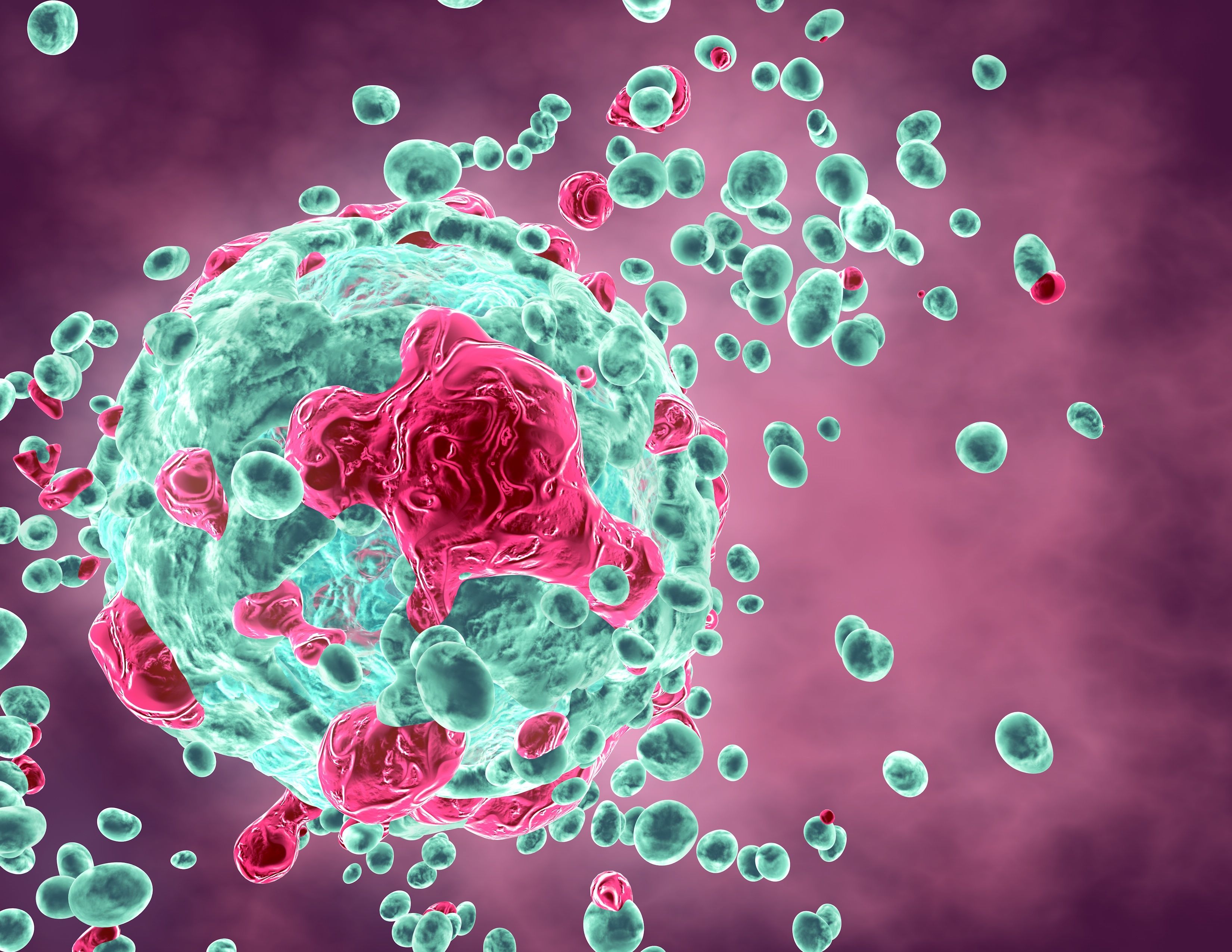 Assessing the Efficacy of Rucaparib for Treatment of Patients with Ovarian Cancer