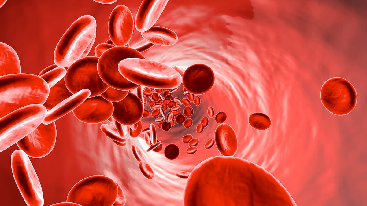 Bloodstream