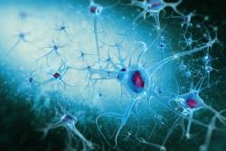 FDA Accepts New Drug Application for Tofersen as Treatment of SOD1-ALS