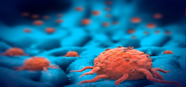 Common Prior Therapies for Patients With Relapsed/Refractory Multiple Myeloma