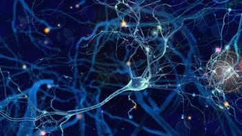Nerves and neurons in brain -- Image credit: whitehoune | stock.adobe.com
