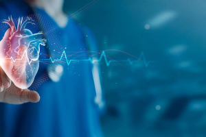 Cardiologist doctor examine patient heart functions and blood vessel on virtual interface. Medical technology and healthcare treatment to diagnose heart disorder and disease of cardiovascular system. | Image Credit: ipopba | stock.adobe.com