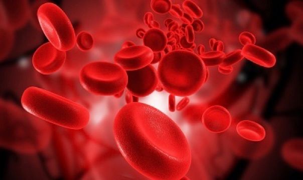 FDA Fast Tracks Combination Therapy for Chronic Lymphocytic Leukemia