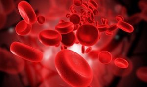 FDA Fast Tracks Combination Therapy for Chronic Lymphocytic Leukemia