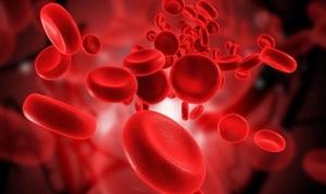 FDA Fast Tracks Combination Therapy for Chronic Lymphocytic Leukemia