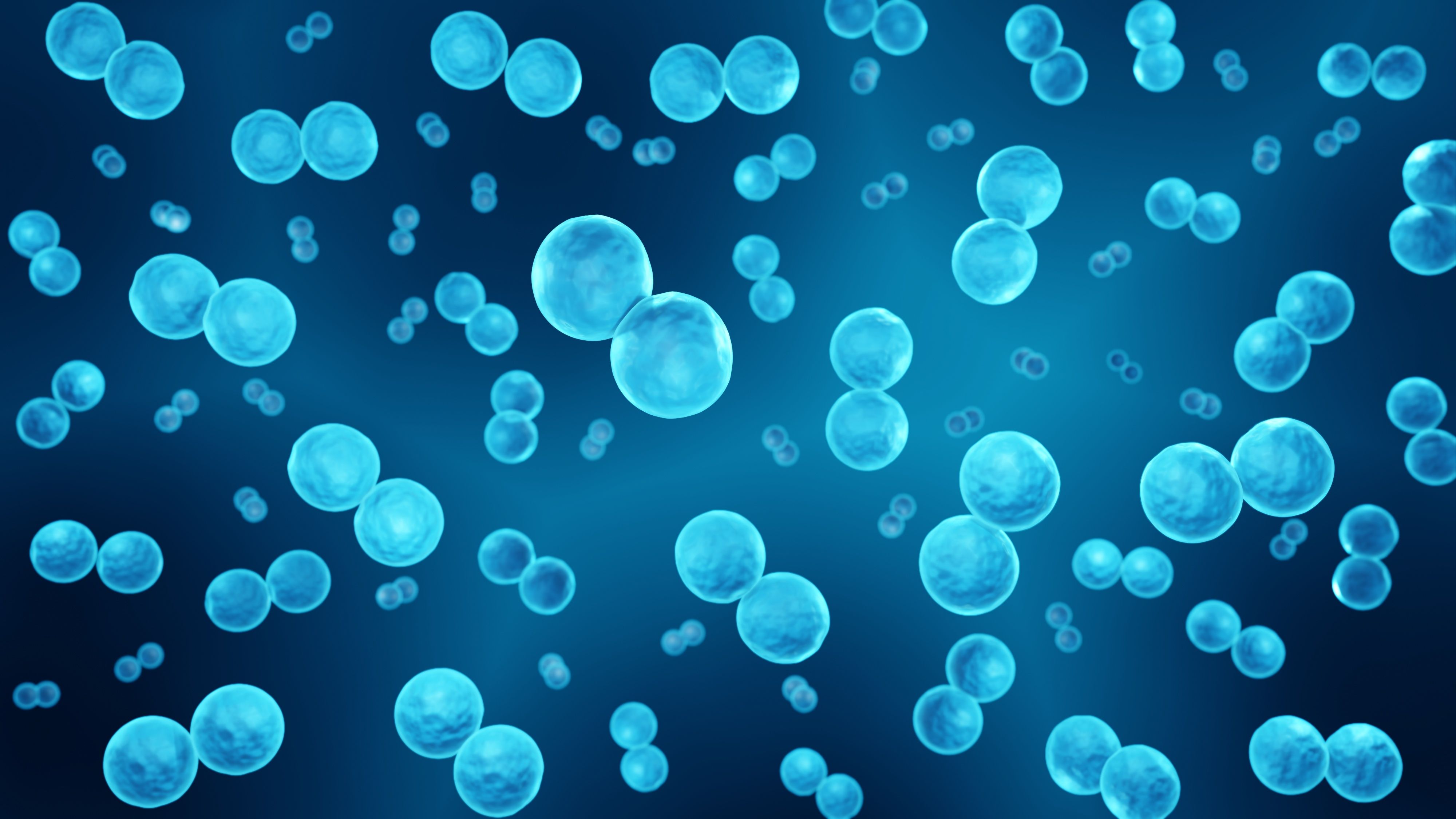 Streptococcus pneumoniae bacteria can cause pneumonia and other respiratory tract infections | Image Credit: Artur - stock.adobe.com