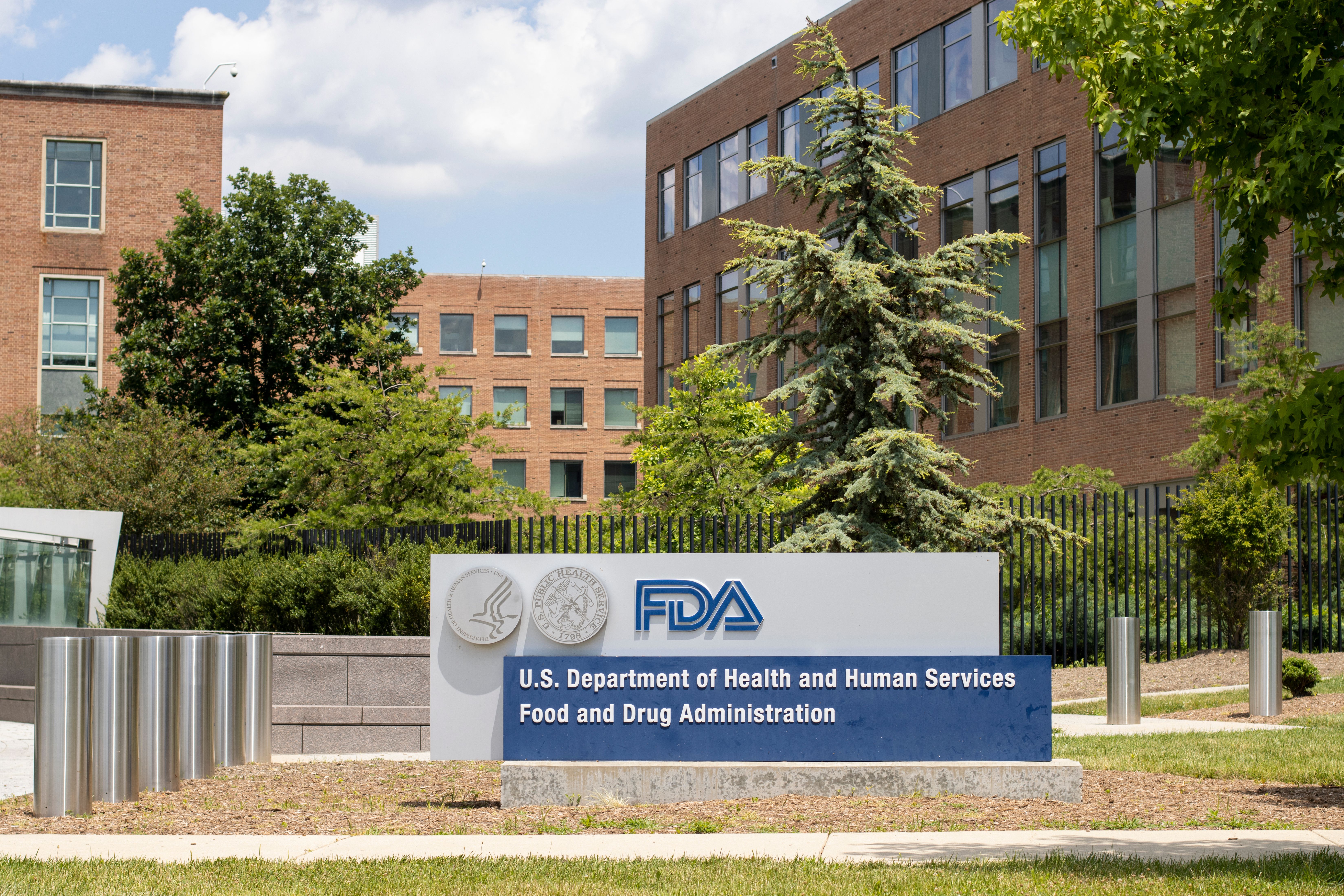 FDA Approves Suzetrigine, New Alternative to Opioids for Acute Pain