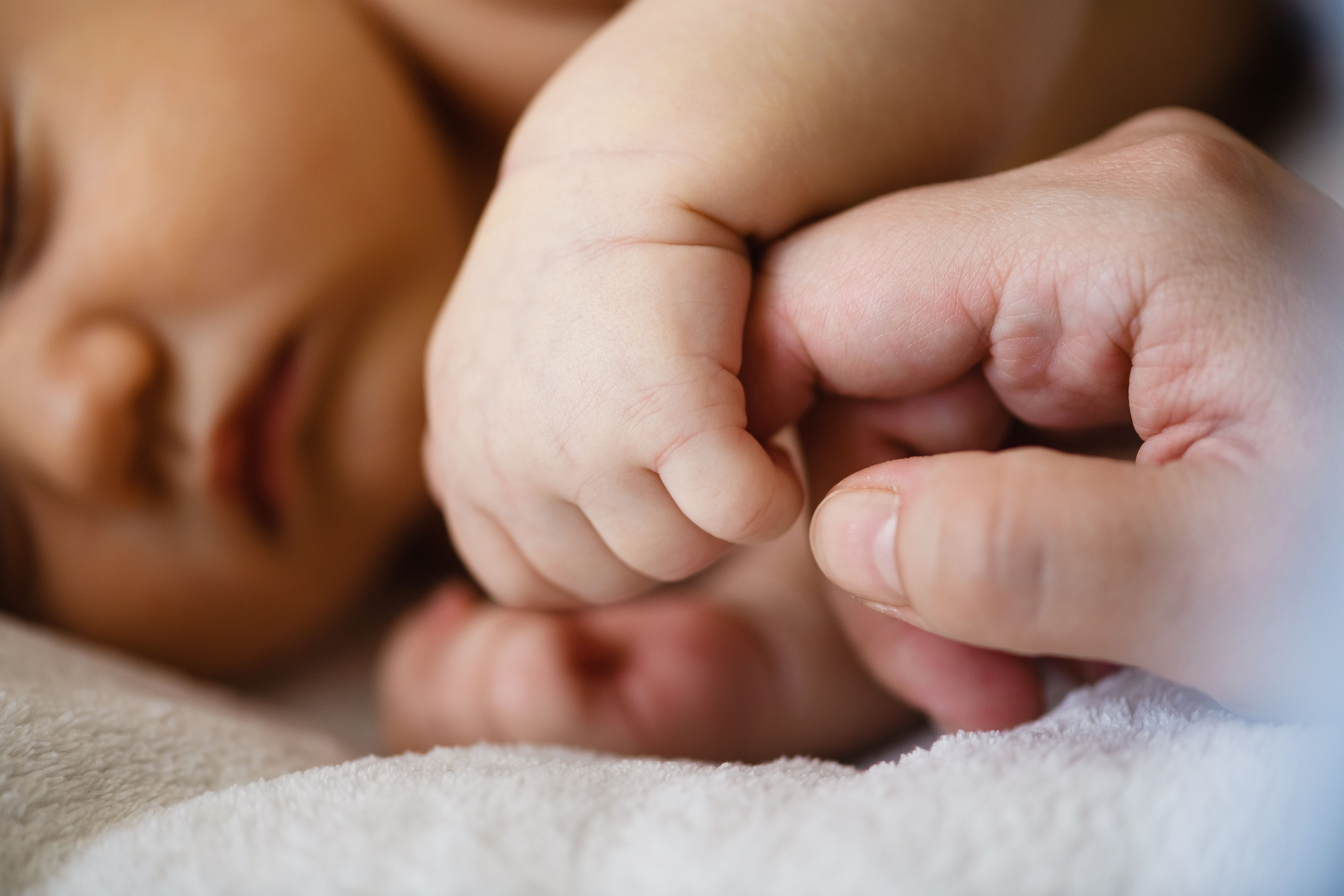 Newborn infant with parent -- Image credit: o_lypa | stock.adobe.com
