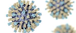 A Pharmacist’s Public Health Role in Addressing a Measles Outbreak