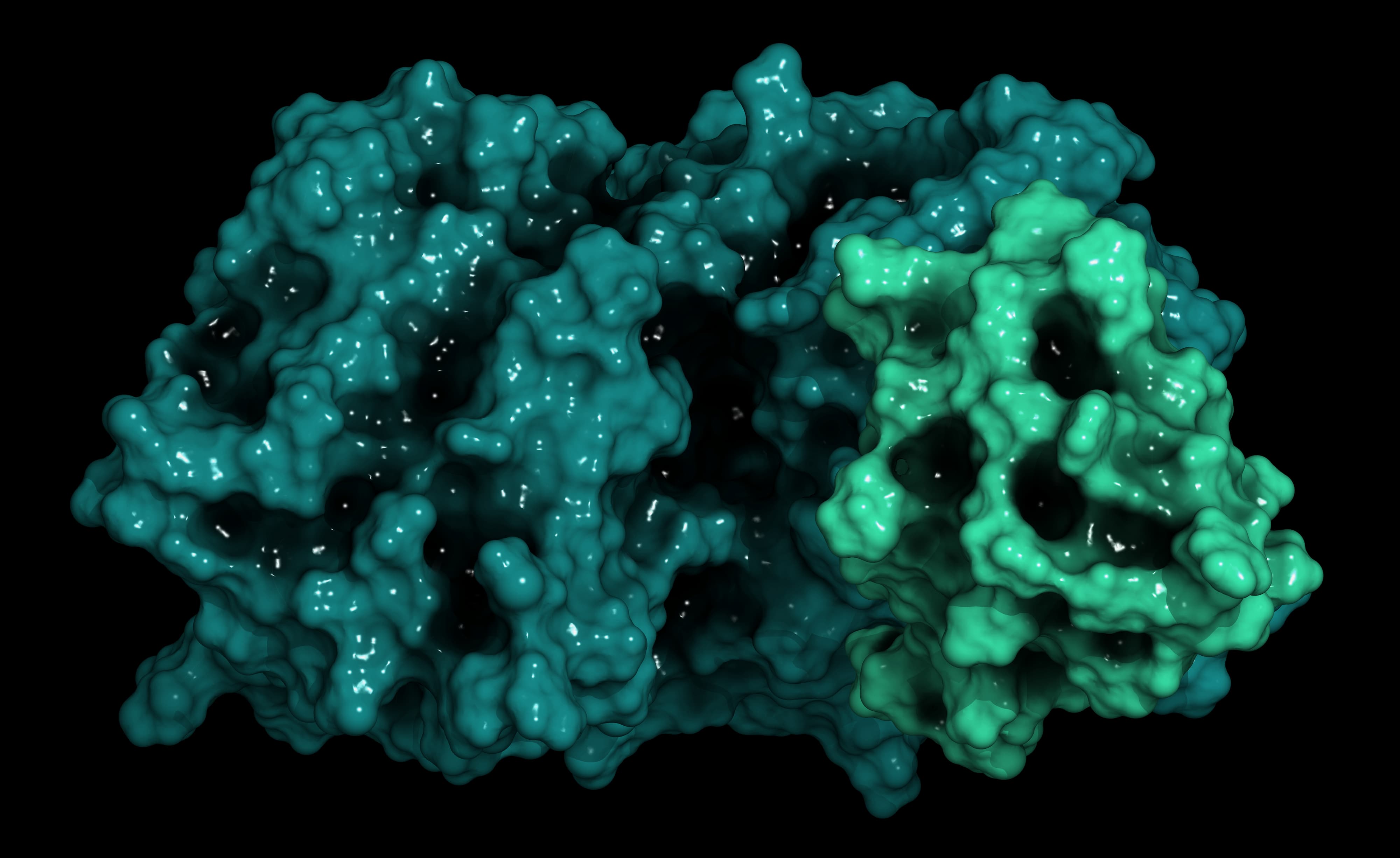 Proprotein convertase subtilisin kexin type 9 (PCSK9) protein.