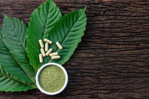 Kratom Controversies: Exploring Use and Regulation  