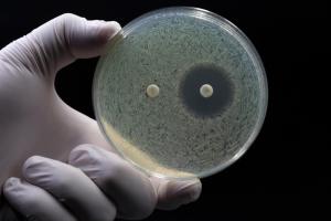 Antibiotic Resistance: The Impact of OTC Availability 