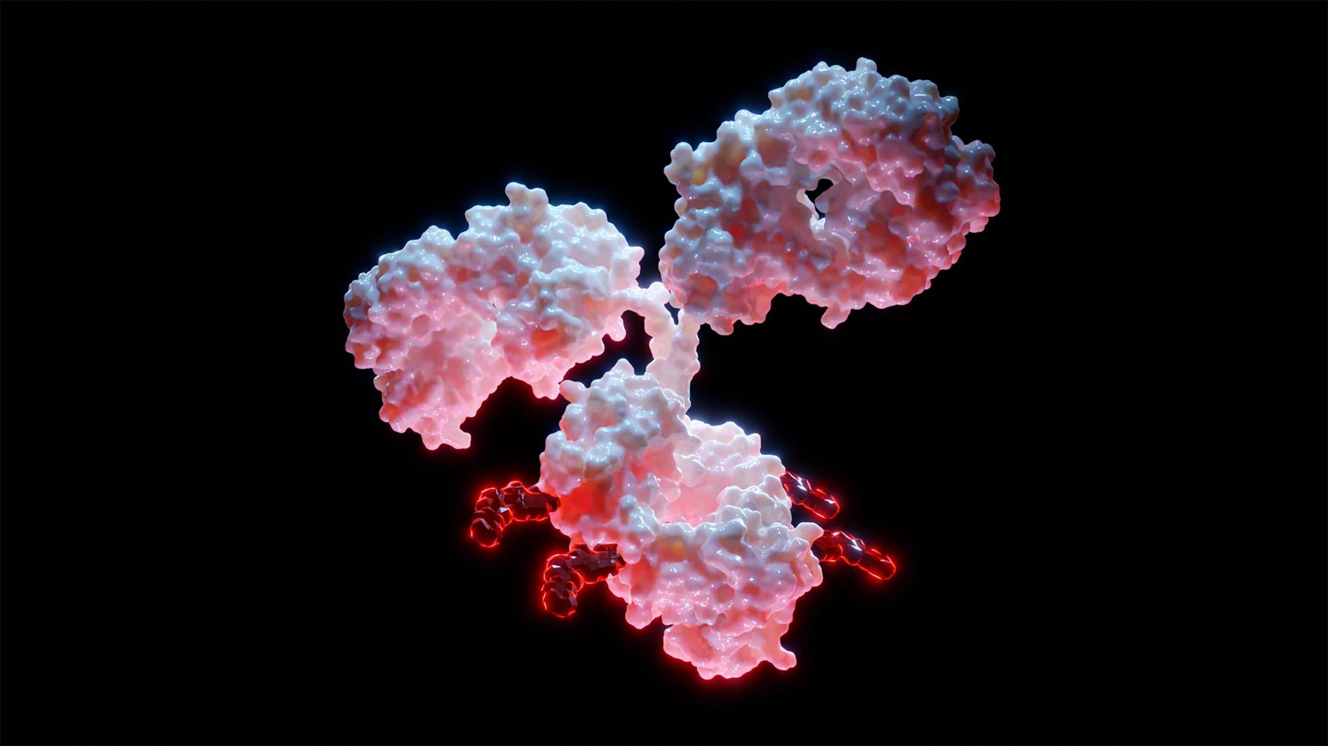 3D rendering of antibody drug conjugate | Image Credit: Alpha Tauri 3D - stock.adobe.com