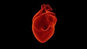 A Review of the 2019 ACC/AHA Updated Lipid Guidelines