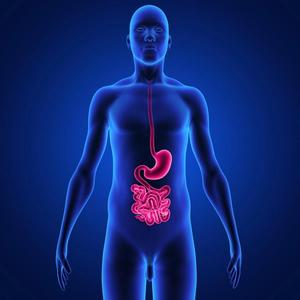 Self-Care for Digestive Health