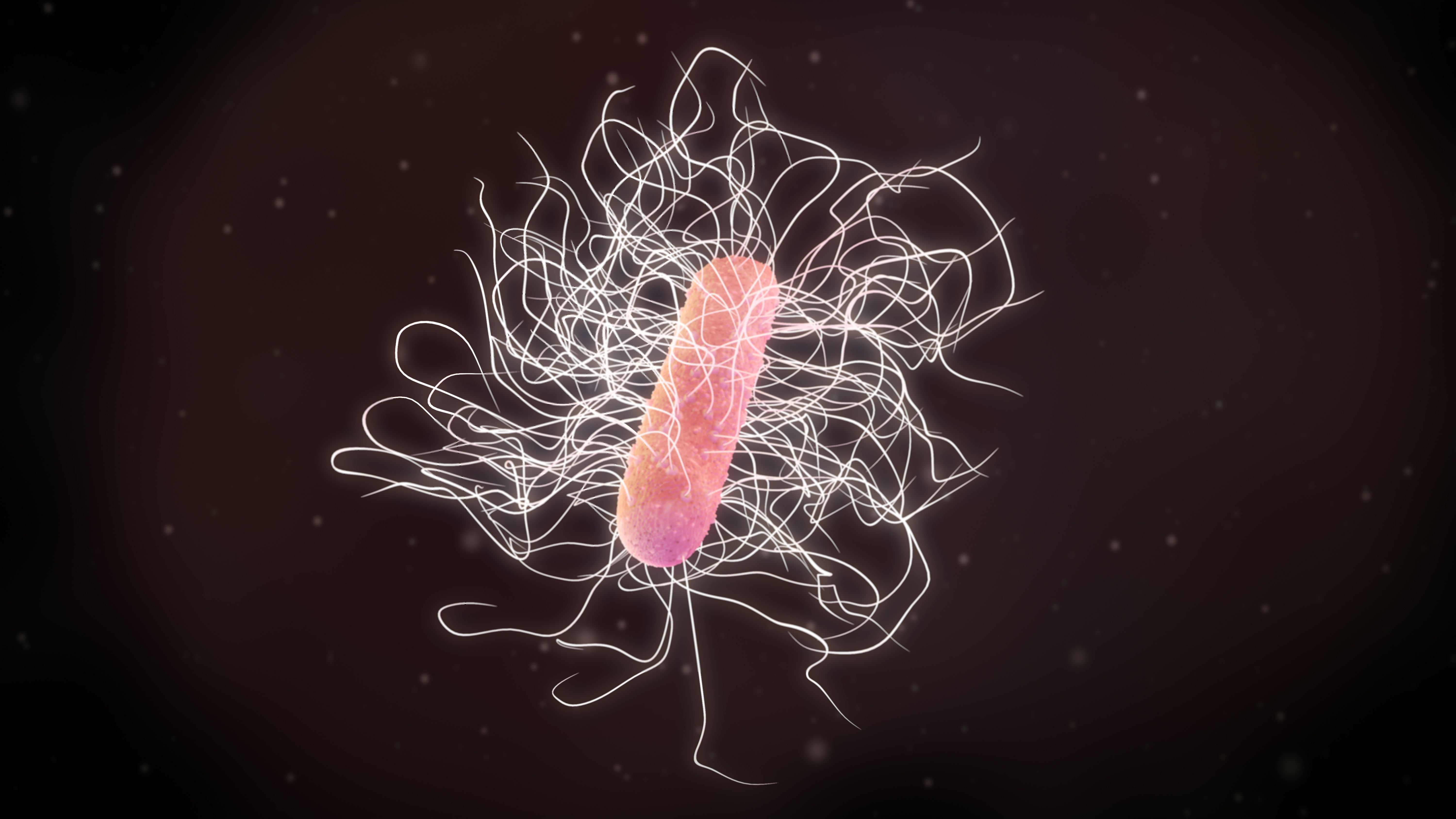 3D illustration of a clostridium difficile bacteria - Image credit: Gaetan | stock.adobe.com