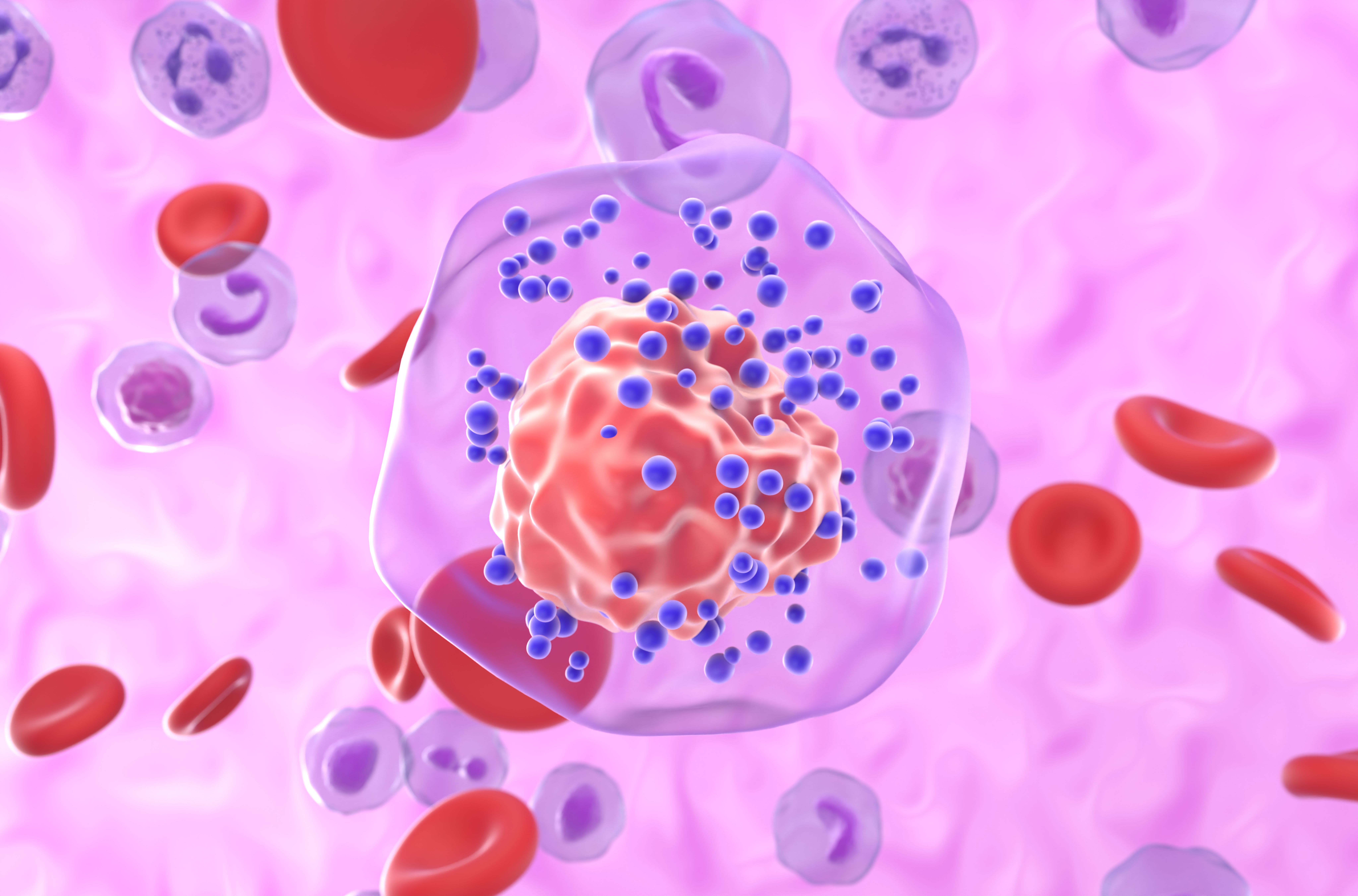 3D illustration of TNBC cell | Image Credit: © LASZLO - stock.adobe.com