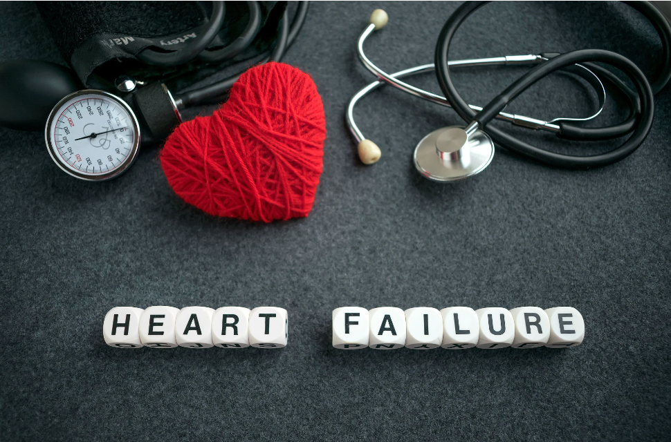 irissca - stock.adobe.com