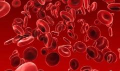EP. 14 Hemophilia Practice Pearls Takeaways: Determining Goals of Therapy