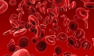 Study: PrEP Remains Effective Regardless of Sexual Activity Frequency