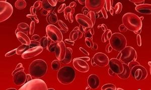 Study: PrEP Remains Effective Regardless of Sexual Activity Frequency